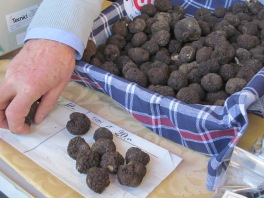 Summer truffle also
