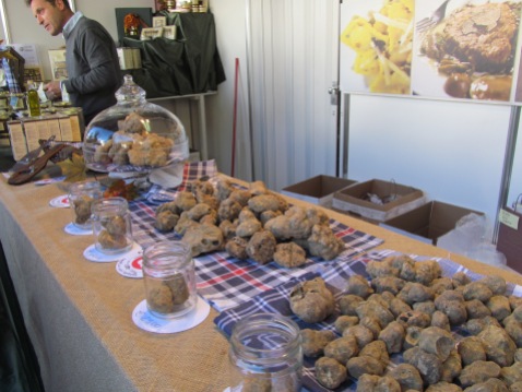 White truffle. About 5,000€ of it