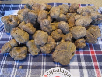 Winter white truffle